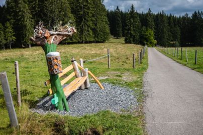 Eine kreative Bank aus Holz steht an einem Weg in der Natur. Umgeben ist sie von Bäumen und einer grünen Wiese.