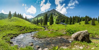 Frühling in Blaichach-Gunzesried