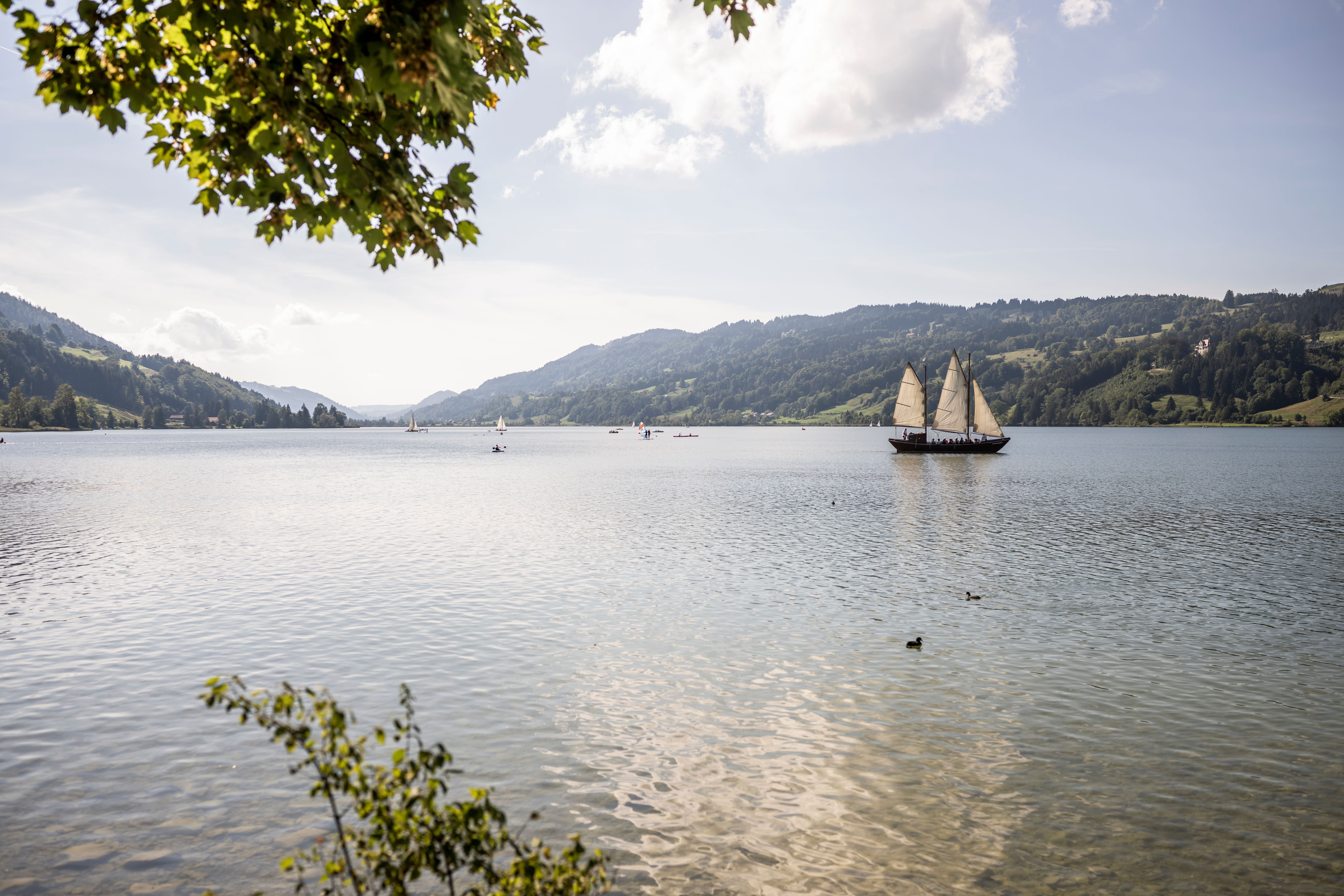 Der Alpsee Segler Santa Maria Loreto startet im Sommer mehrmals täglich zu einer Rundfahrt über den Großen Alpsee in Immenstadt.