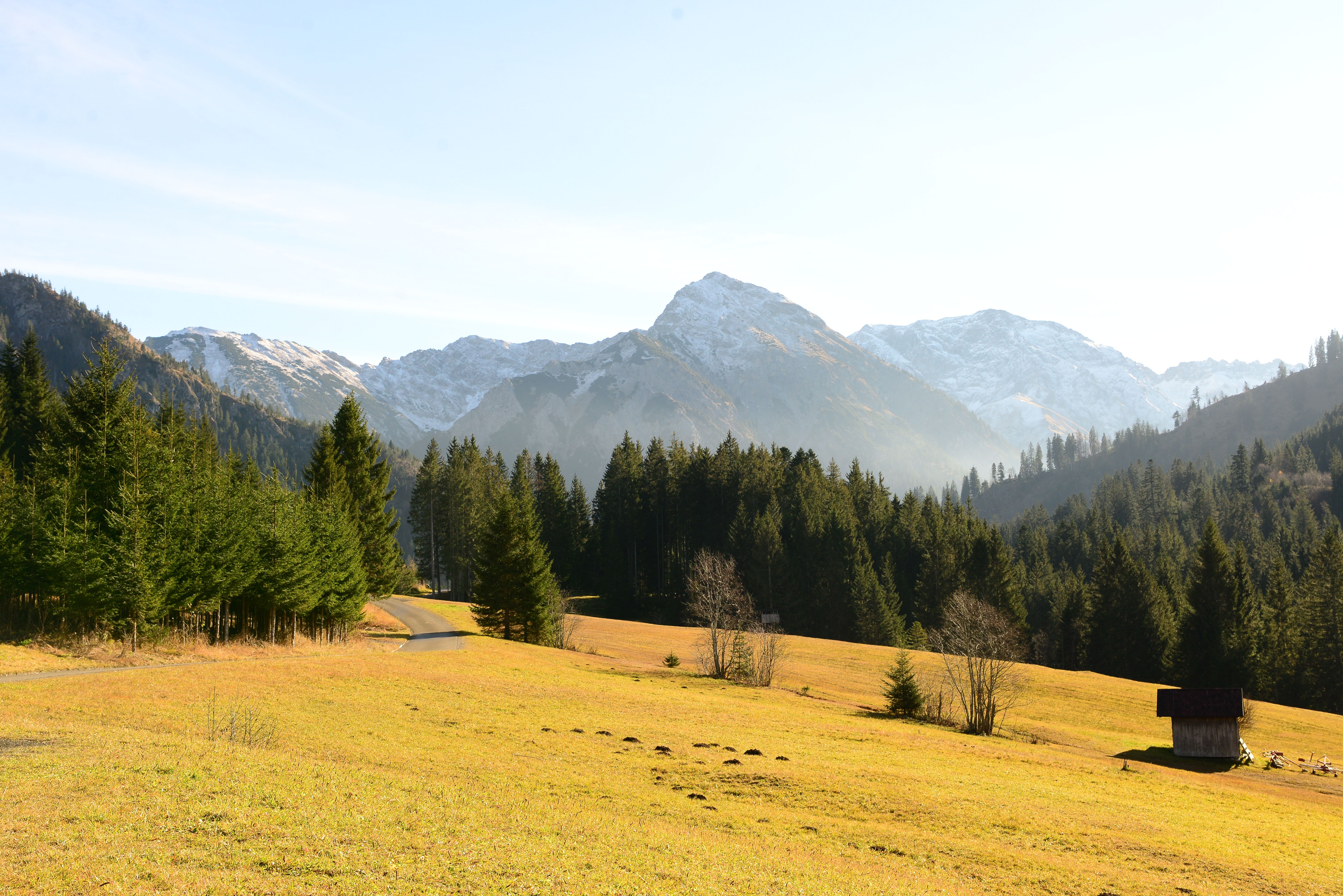 Das Strausbergmoos in Sonthofen an einem schönen Herbsttag.