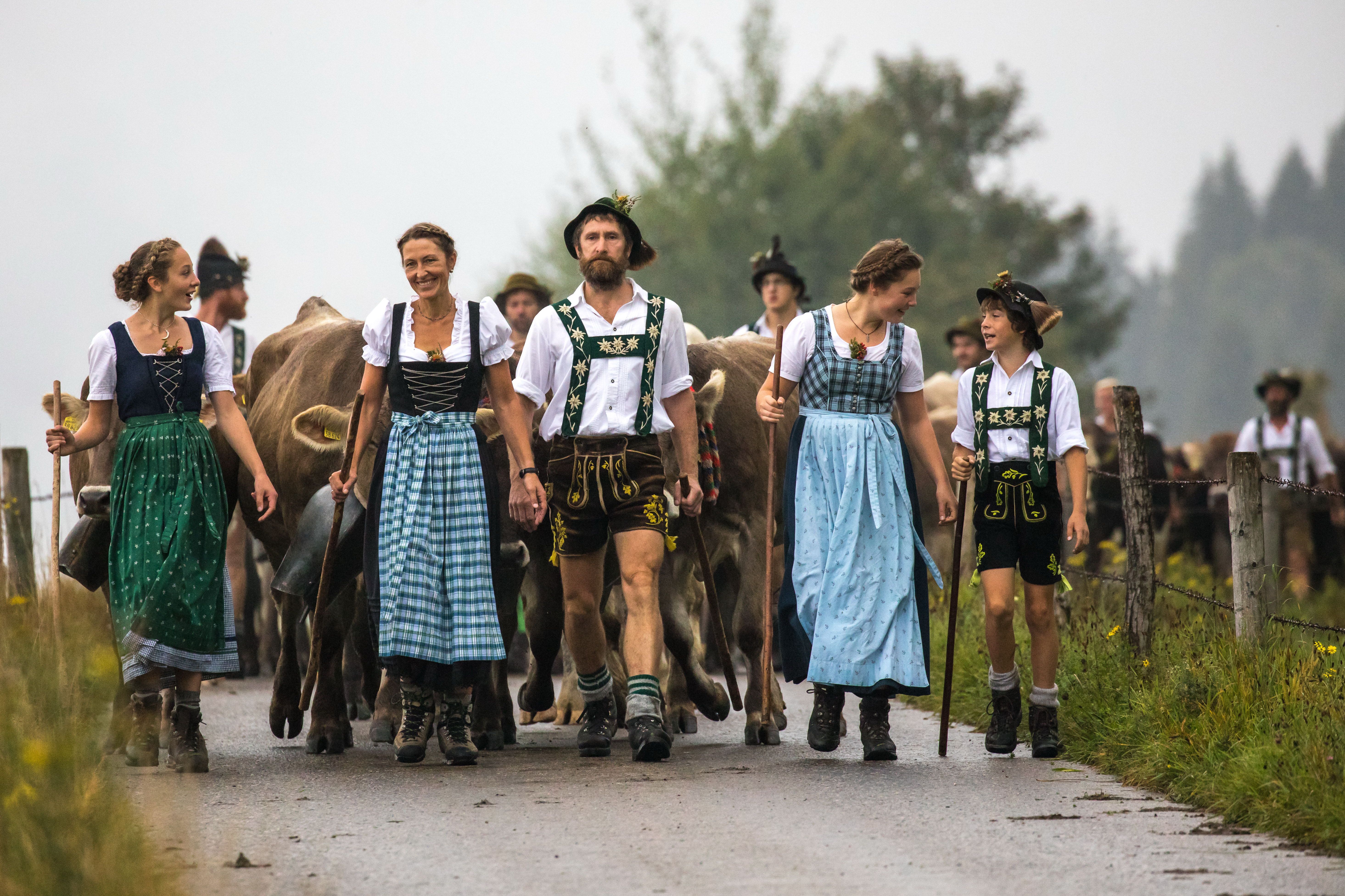 Die Hirtenfamilie führt ihre Rinder in Tracht zurück in Tal beim Gunzesrieder Viehscheid. Mitte September, rechtzeitig bevor der erste Schnee die höchsten Berghöhen überzuckert, führen die Hirten die Herden von den Alpen hinunter ins Tal, um die Tiere dort an die Bauern zu übergeben oder auf die "Nachweide" zu treiben.