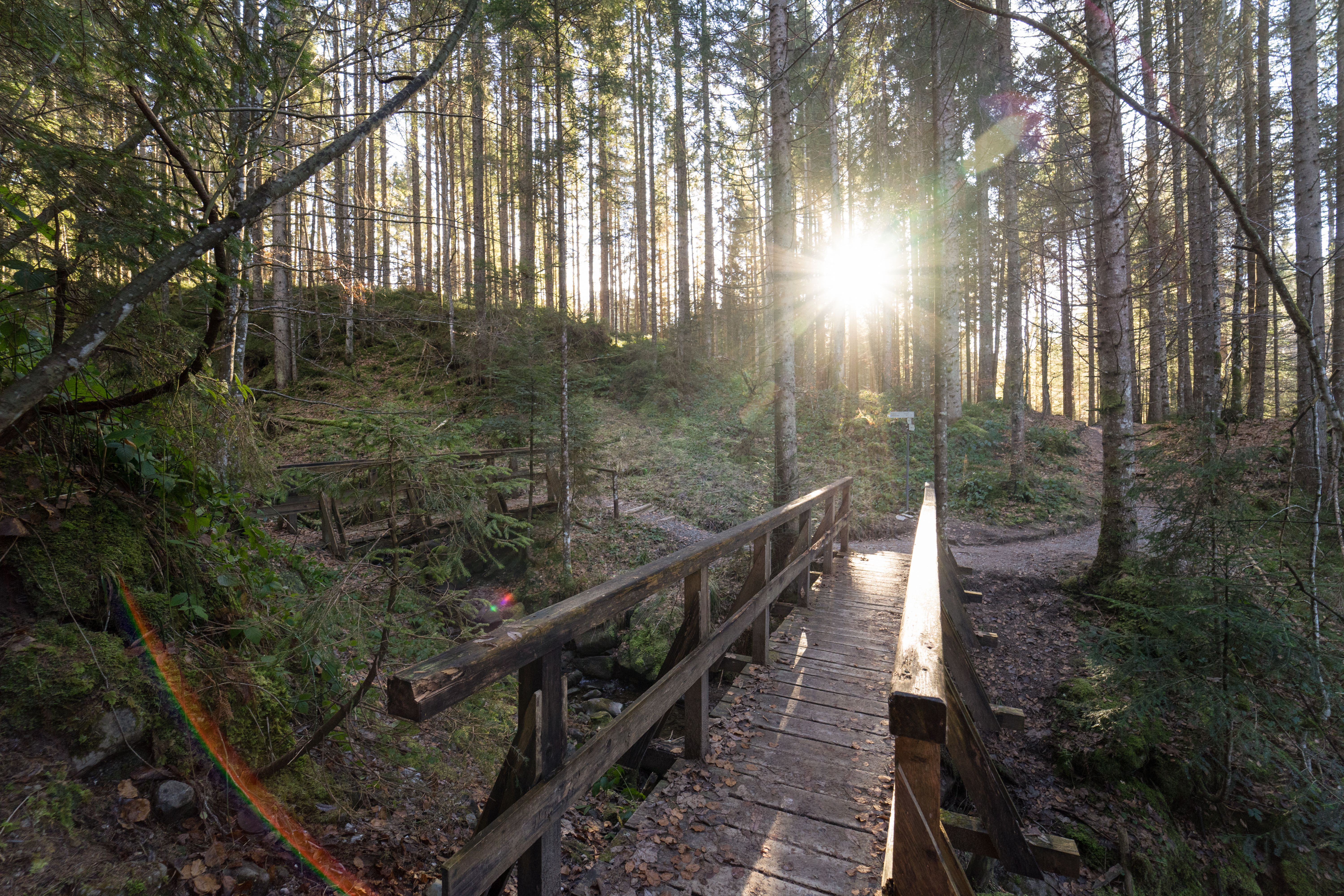 Eine Holzbrücke führt, als teil des Ostertaler-Tobelwegs, über einen kleinen Bach mitten im Wald. Der Ostertaler-Tobelweg führt vom Ostertal nach Gunzesried-Säge (Blaichach) und ist eine schöne Wanderung für die ganze Familie.
