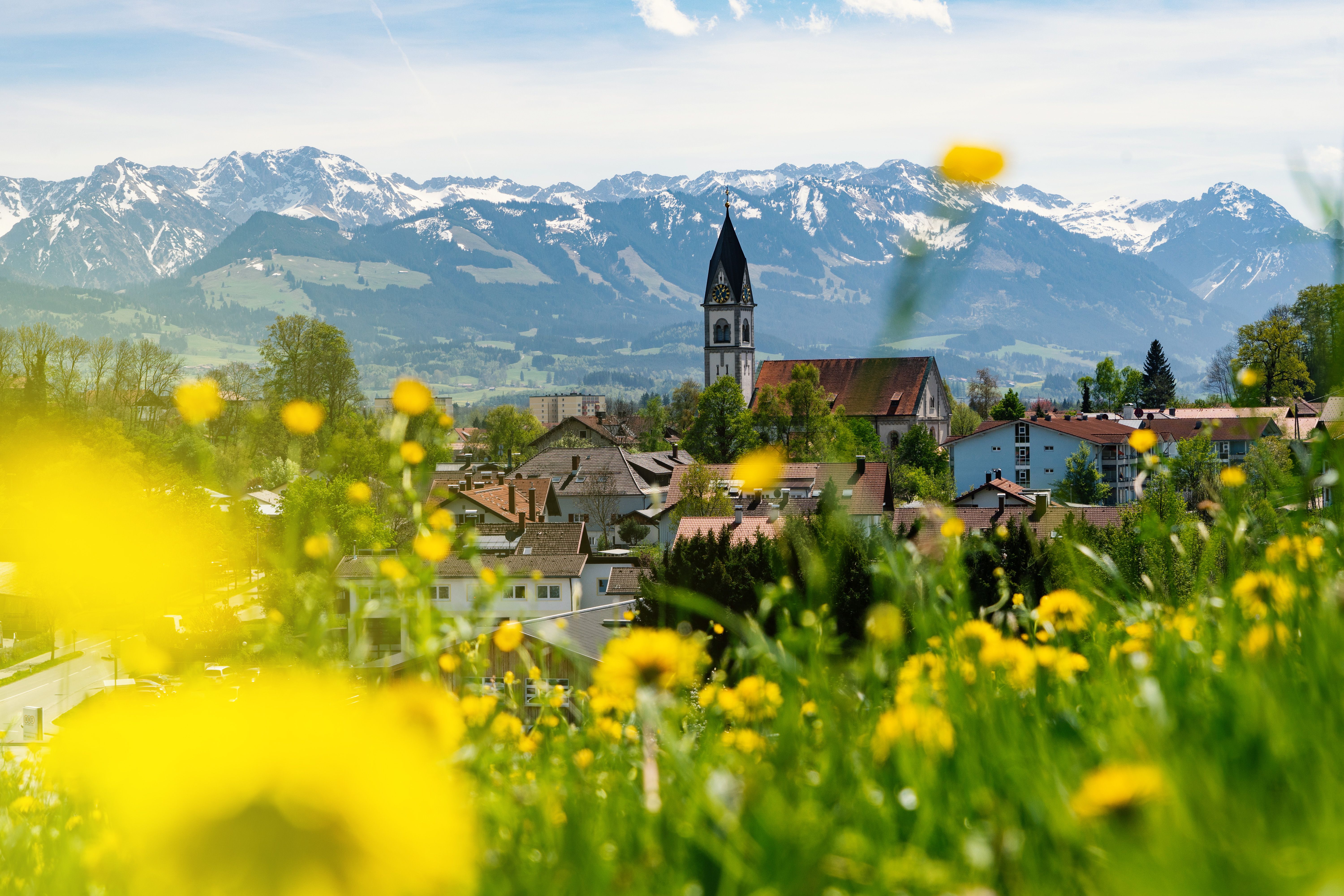 Ausblick auf die Gemeinde Blaichach und die katholische Kirche St. Martin. Im Vordergrund ist eine blühende Löwenzahn-Wiese und im Hintergrund die Allgäuer Hochalpen zu sehen.