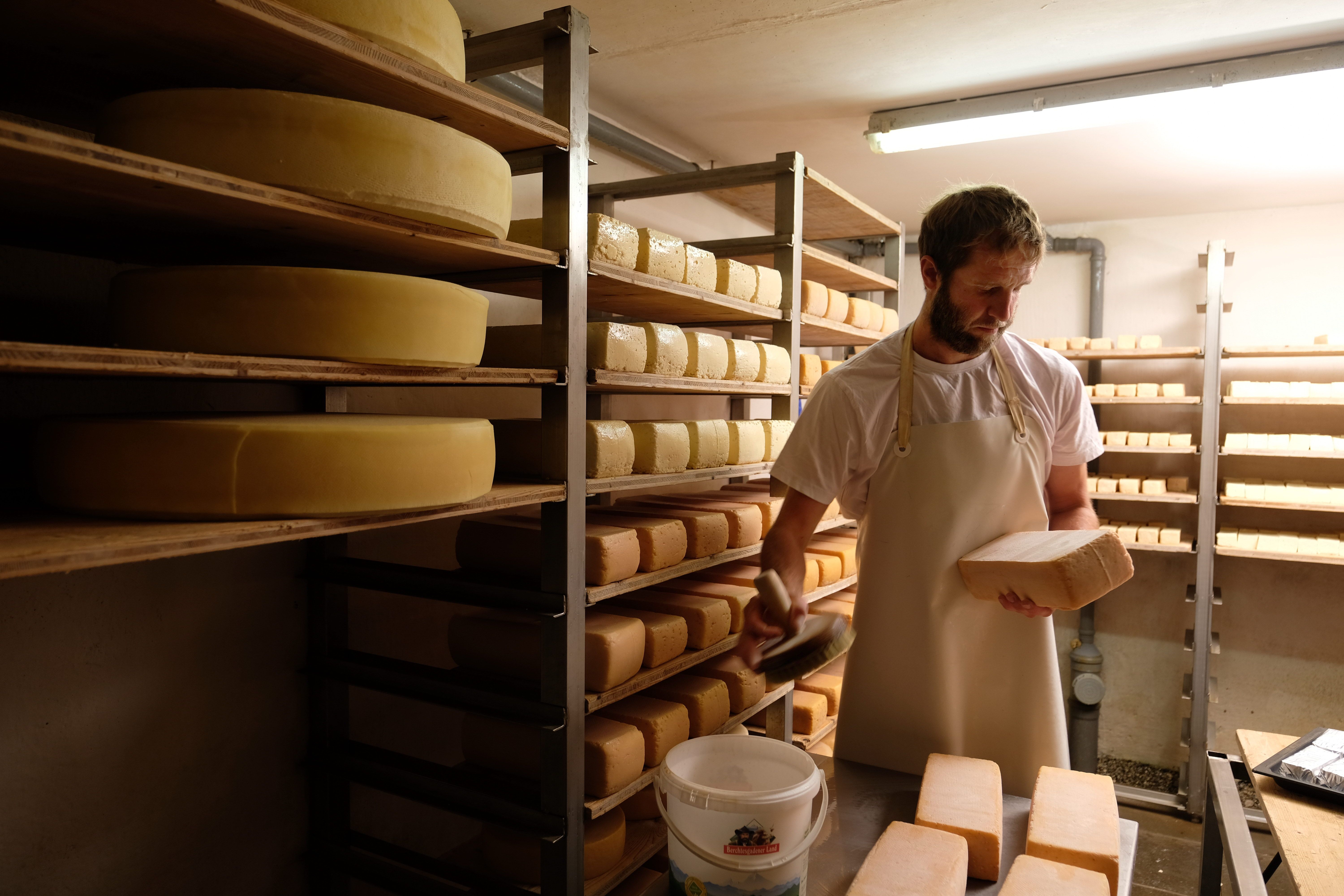 Auf der Sennalpe Gerstenbrändle in Gunzesried wird der Käse regelmäßig gepflegt und geschmiert.