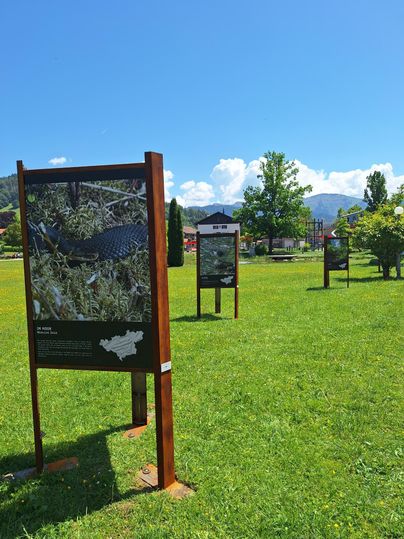 Eine grüne Wiese mit mehreren Informationsschildern steht unter einem klaren blauen Himmel. Im Hintergrund sind Bäume und Berge zu sehen.