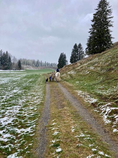 Ein Reiter mit einem Pferd geht einen Weg entlang, begleitet von einem Hund. Die Umgebung ist grün mit leichtem Schnee und bewaldeten Hügeln.