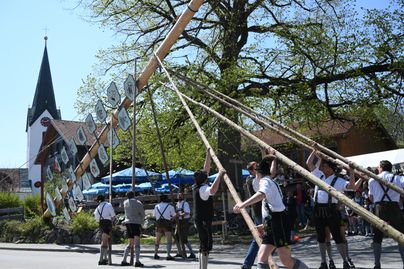 Auf dem Bild sieht man Männer in Allgäuer Tracht, die gerade dabei sind, den Maibaum aufzustellen. Dies ist ein Brauchtum und findet immer am 01. Mai statt.
Im Hintergrund sieht man eine Kirche und einen großen Baum, der blüht.