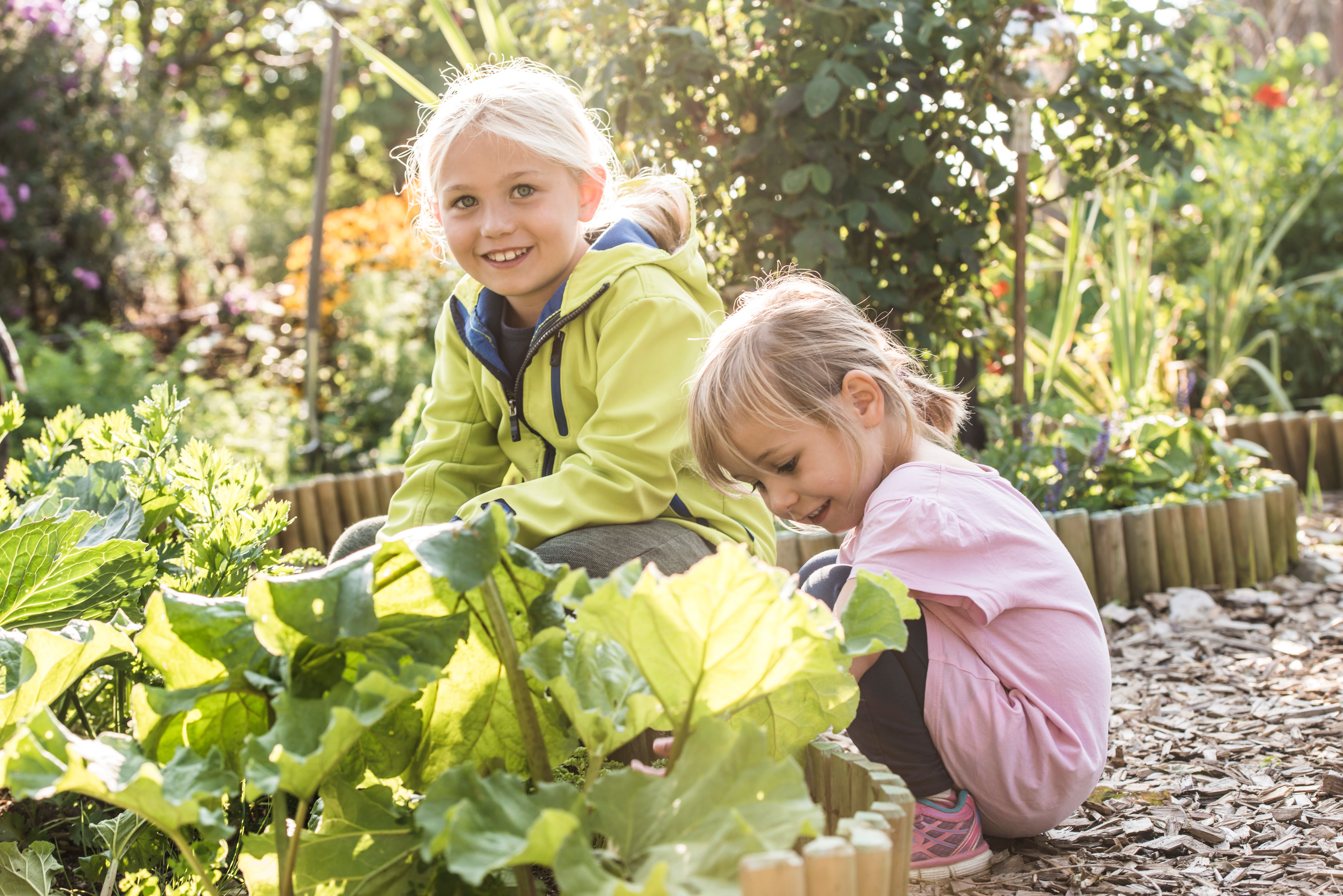 Zwei Mädchen sitzen in einem Kräutergarten und arbeiten im Beet an einer Pflanze.