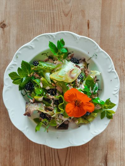 Ein bunter Salat auf einem weißen Teller, garniert mit frischen Kräutern und einer Blume. Der Salat enthält eine Mischung aus grünen Blättern, Beeren und Samen.