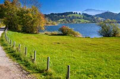 Der Große Alpsee bei Immenstadt ist mit 2,5 km2 der größte Natursee im Allgäu und gehört somit ohne Zweifel zu den wichtigsten Sehenswürdigkeiten. Der See erstreckt sich von West nach Ost mit gut 3 km Länge, von Nord nach Süd mit fast 1 km Breite und einer maximalen Tiefe von 22 m.Mit einem Umfang von 8 km ist der Natursee umrundet von Grünflächen aber auch Kies, Steinen und Sand. Der Flache Einstieg bietet die ideale Voraussetzung zum Baden und ist dadurch das perfekte Ausflugsziel für den Familienurlaub im Allgäu.