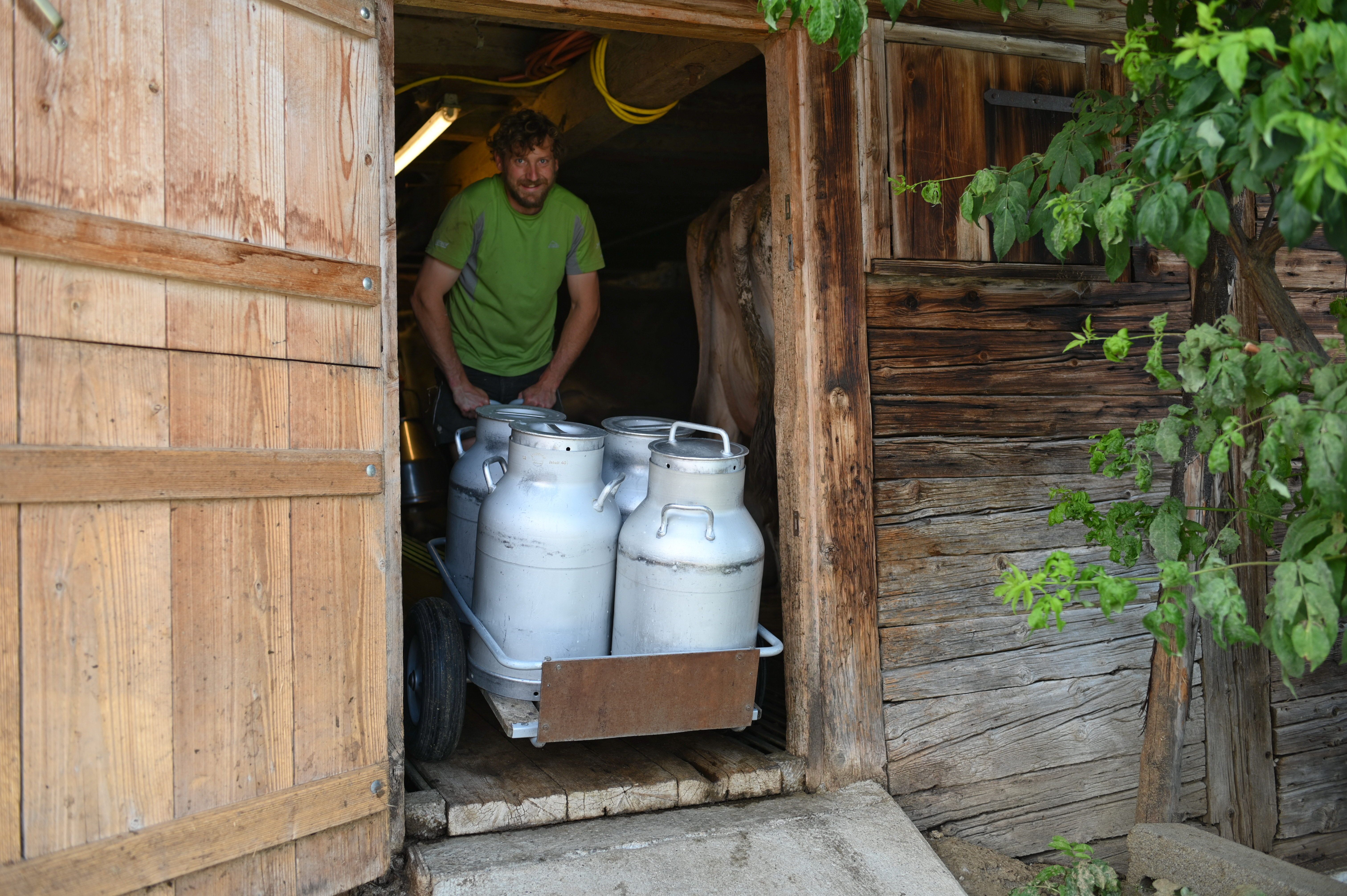 Der Senn Sebastian Beck der Alpe Oberberg fährt Milchkannen mit einem Wagen aus dem Stall.