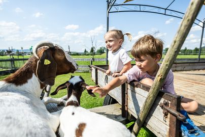 Ein Mädchen und ein Junge streicheln zwei Ziegen im Burgberger Tierparadies. Die Kinder sitzen dabei auf einem Anhänger.