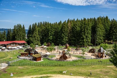 Familien verbringen Zeit in der Abenteuer Alpe in der Alpsee Bergwelt. Kinder spielen auf verschiedenen Geräten.