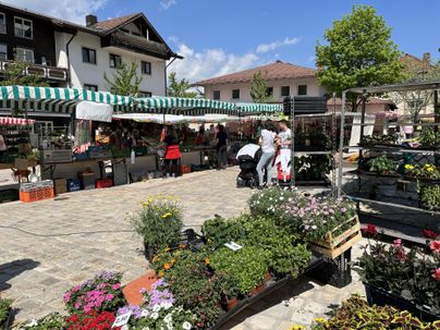 Ein lebhafter Markt mit Ständen, die frische Produkte und lokale Waren anbieten. Viele Besucher schlendern zwischen den Ständen umher und genießen die Atmosphäre.