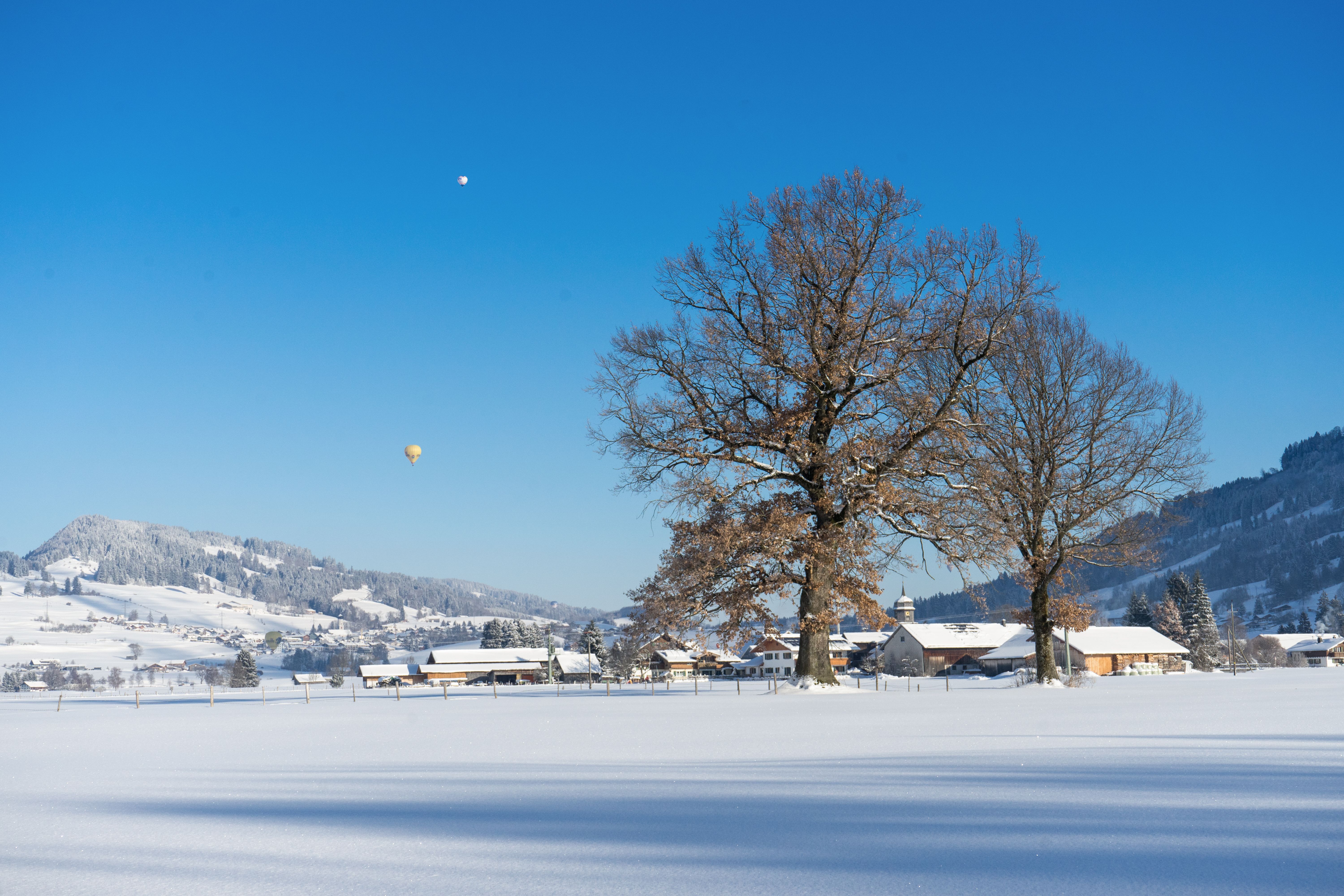 Der Burgberger Ortsteil Agathazell im Winter. Am Himmel schweben zwei Heißluftballons. Winterwanderer, Schneeschuhgeher und Langläufer kommen auf gut präparierten Wegen und Loipen in der Gemeinde Blaichach voll auf Ihre Kosten.