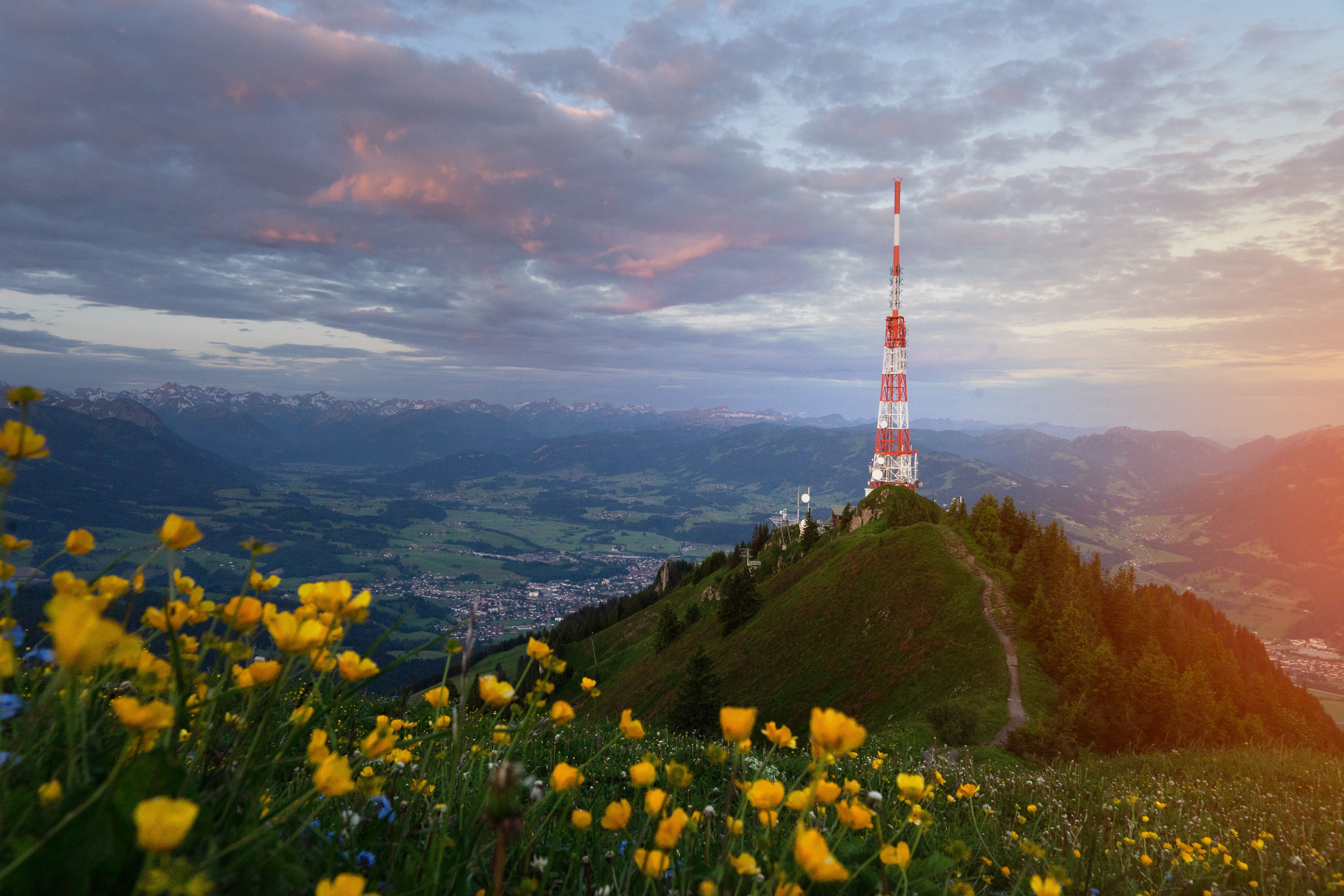 Gelbe Blumen blühen im Frühling vor dem Sendemast am Grünten. "Der Wächter des Allgäus" ist ein 1.738 Meter hoher Berg. Schon von weitem kündigt er durch seine vorgelagerte Stellung den Einstieg in die Allgäuer Alpen an.