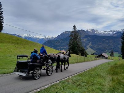 Eine Kutsche zieht durch eine grüne Landschaft mit Bergen im Hintergrund. Zwei Personen sitzen in der Kutsche und genießen die Ruhe der Natur.