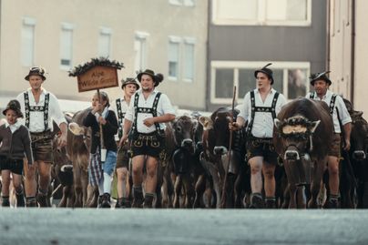 Eine Gruppe von Menschen in traditionellen Trachten führt eine Herde Kühe durch eine Straße. Im Hintergrund ist ein Schild mit der Aufschrift "Alte Weide" zu sehen.