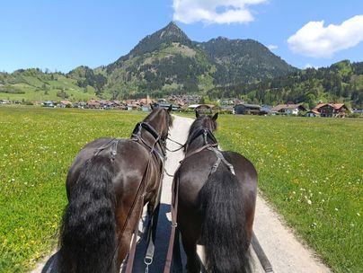 Pferdekutschfahrt rund um Burgberg