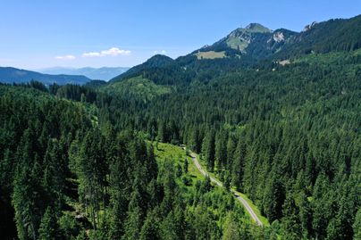 Der Große Wald führt Sie durch eine traumhafte Landschaft an die Ostseite des Grüntens. Im Großen Wald wechselt das Landschaftsbild von Wald zu blumenreichen Wiesen und ganzen Feldern von Heidelbeeren. Im Hintergrund türmt sich beständig der Grünten auf.