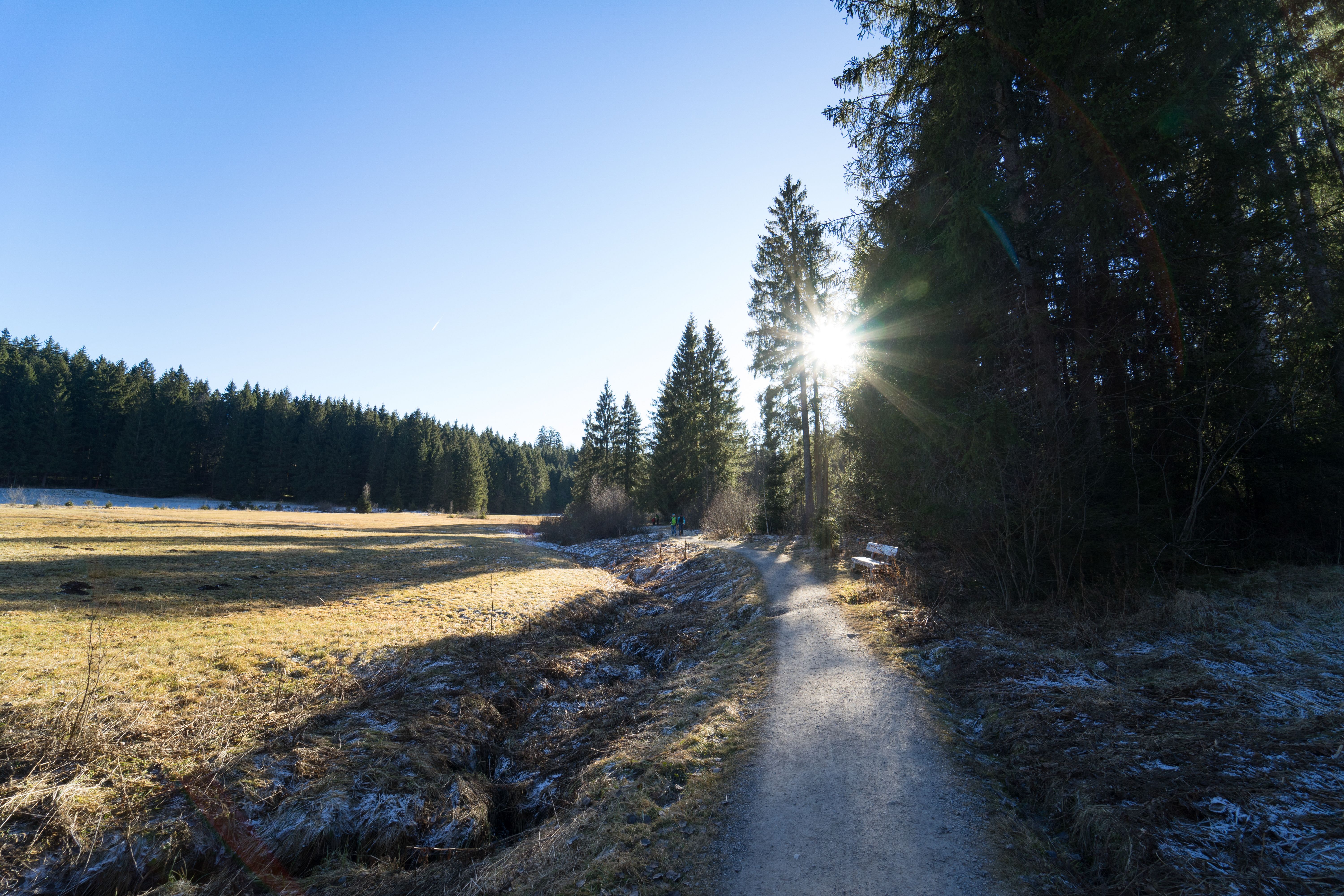 Ein Weg führt entlang eines Waldes und einer leicht verschneiten Wiese, die Sonne scheint durch die Bäume. Das Schlettermoos liegt zwischen Immenstadt und Missen. Von hier kann man einfach zu verschiedenen Alpen wie die Siedelalpe, Jugetalpe oder Pfarralpe wandern.
