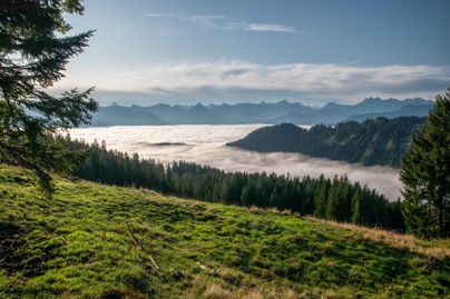 Eine malerische Aussicht auf eine bewaldete Landschaft, die von Nebel umhüllt ist. Im Hintergrund sind hohe Berge unter einem klaren Himmel sichtbar.
