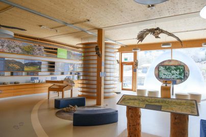 Ein moderner Ausstellungsraum mit Holzelementen und informativen Tafeln. Es gibt Modelle von Tieren und Karten, die die Umgebung darstellen.
