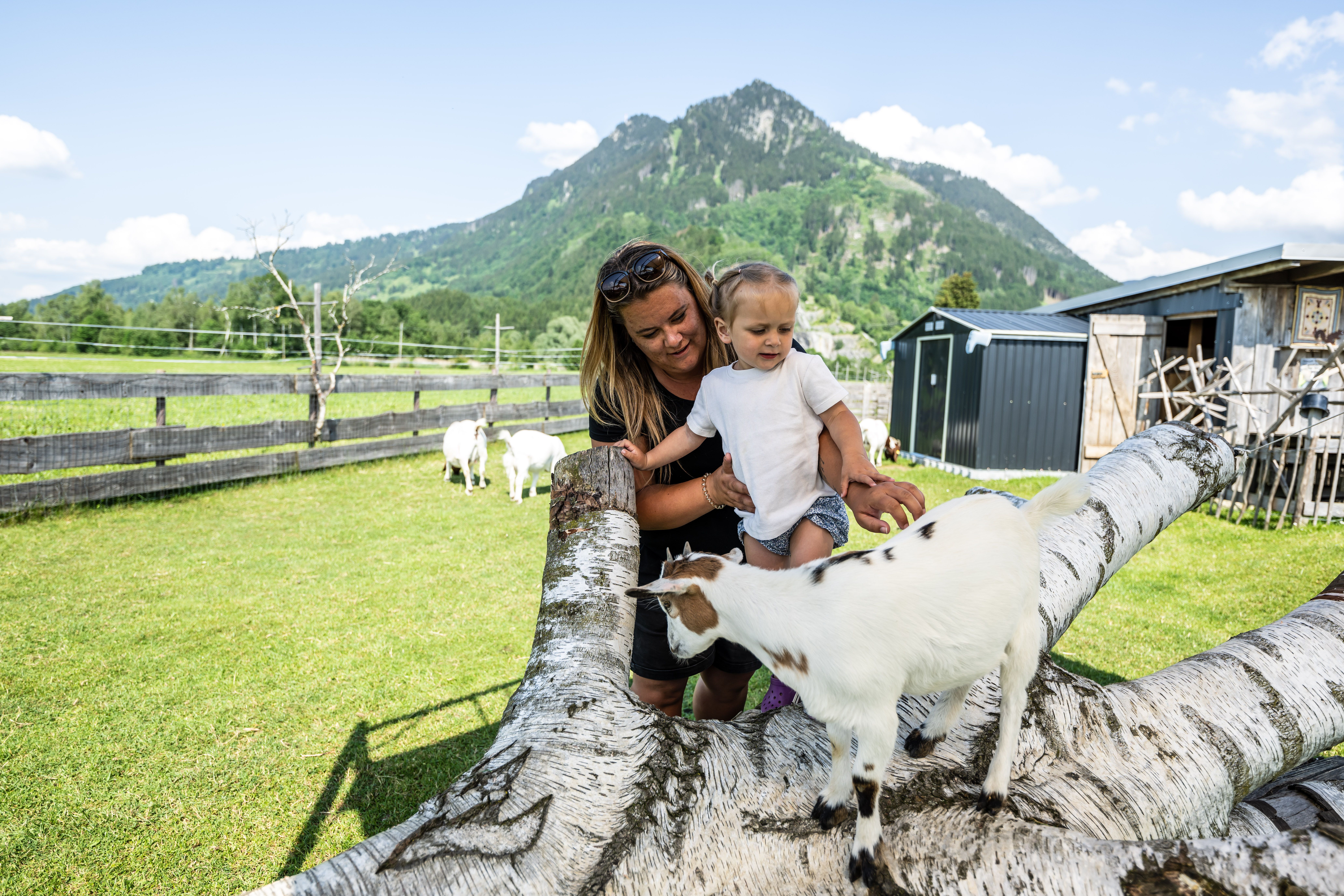 Ein kleines Mädchen streichelt gemeinsam mit ihrer Mutter eine Ziege im Burgberger Tierparadies. Im Hintergrund ist der Grünten zu sehen.