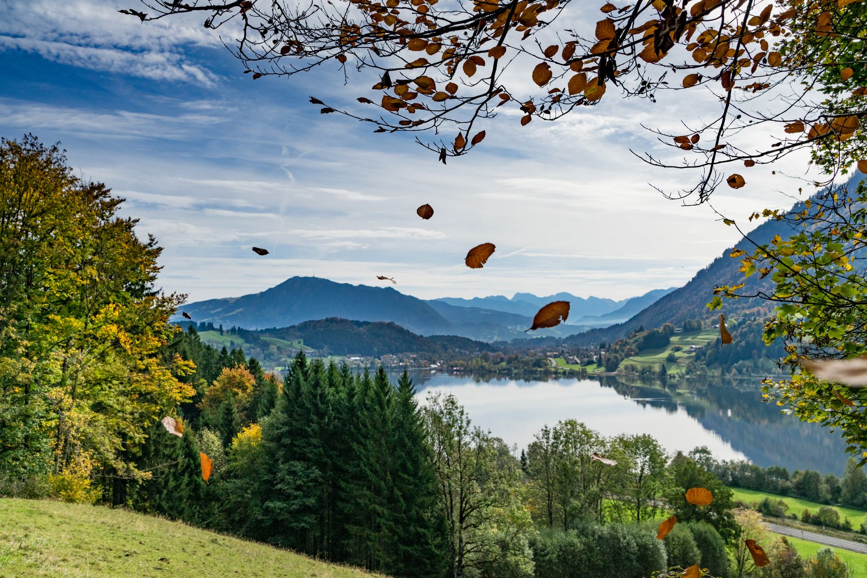 Der Blick, leicht erhöht, auf die Region Alpsee-Grünten im herbstlichen Panorama.