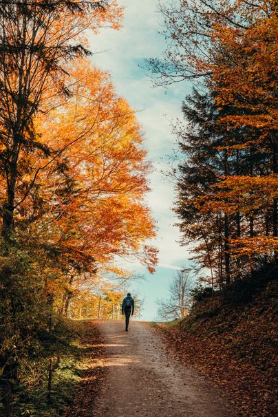 Wanderer im Herbst im Steigbachtal