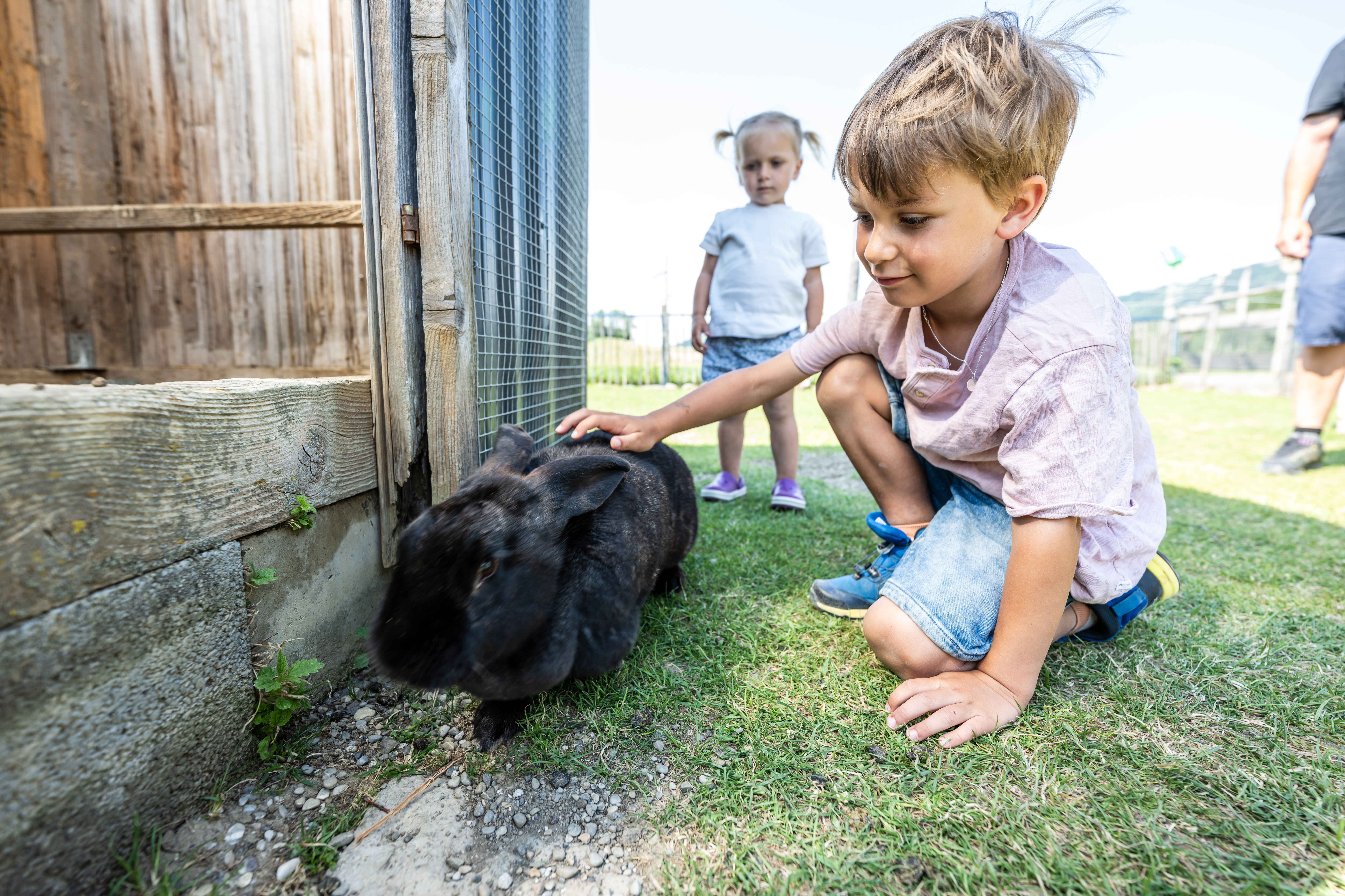 Ein Junge streichelt einen schwarzen Hasen im Burgberger Tierparadies. Im Hintergrund ist seine kleine Schwester zu sehen.
