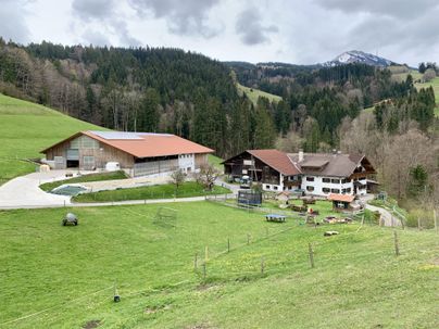 Ein malerischer Bauernhof in einer hügeligen Landschaft. Umgeben von grünen Wiesen und bewaldeten Hügeln.