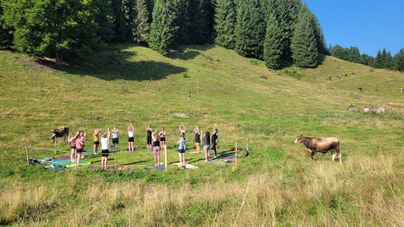 Eine Gruppe von Menschen beim Yoga bei der Alpe Gschwenderberg im Rahmen der Urlaubswochen im Städtle 