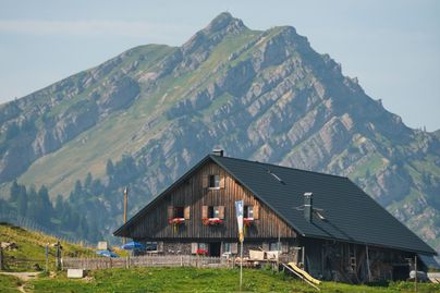 Alpe vor großem Berg