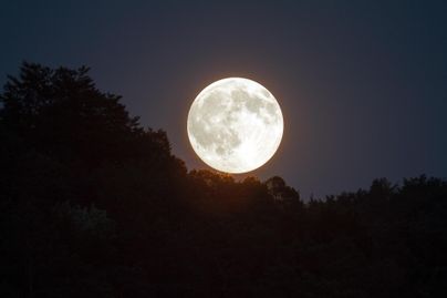 Ein großer, heller Vollmond erscheint über einem bewaldeten Hügel. Der Nachthimmel ist dunkel und klar.