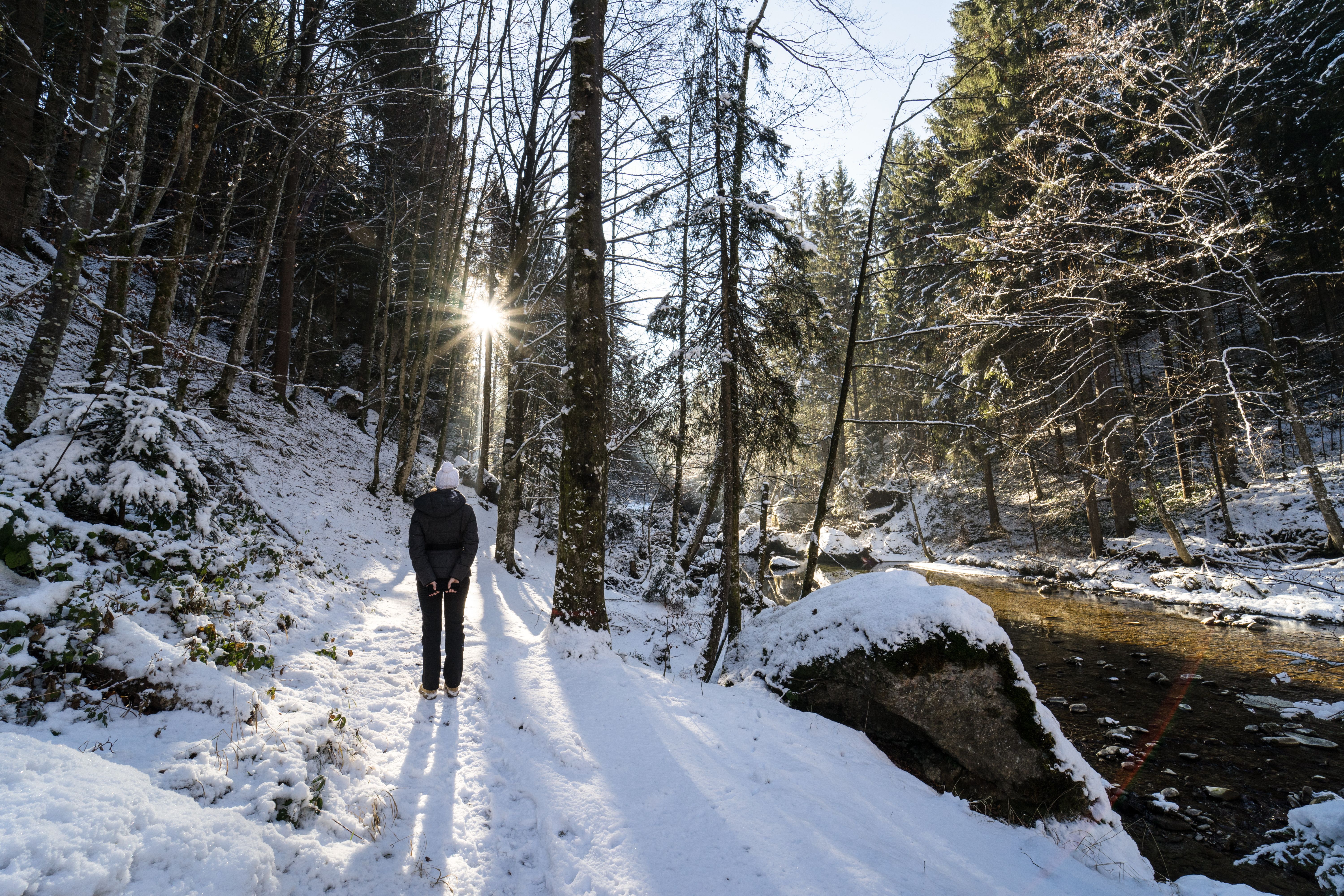 Eine Frau wandert im schneebedeckten Ostertalertaltobel in Gunzesried (Blaichach). Bei Gunzesried-Säge befindet sich der schöne Ostertaltobel. Der Ostertalbach schlängelt sich hier durch ein enges Tal. Zahlreiche schäumende Wasserfälle, kleine Strudel und tiefe Gumpen gibt es zu bestaunen.
