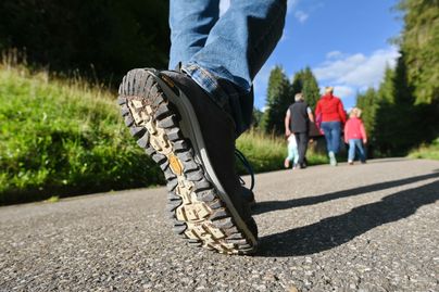 Eine Gruppe von Menschen wandert auf einem schönen Waldweg bei sonnigem Wetter. Die Umgebung ist grün und einladend.
