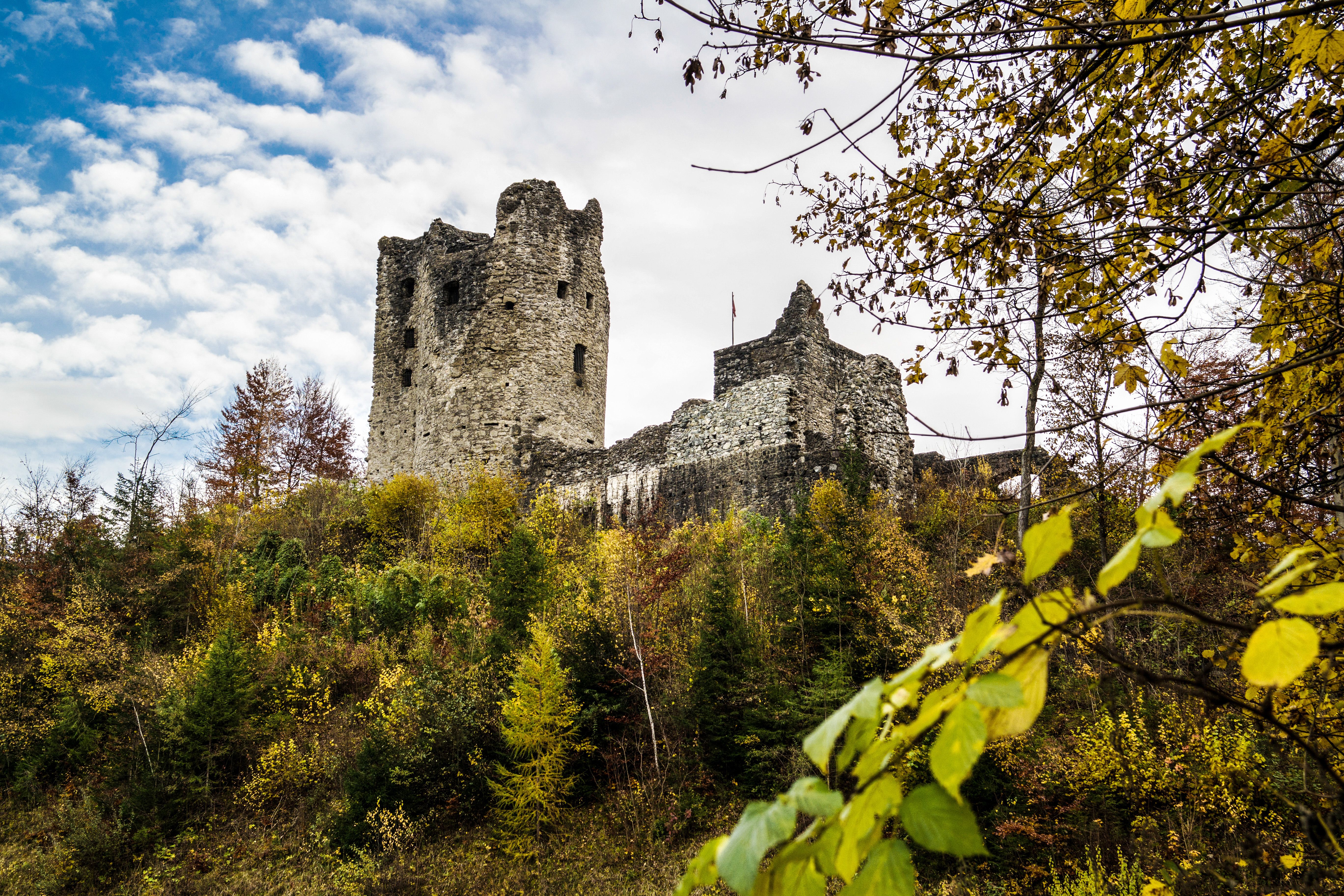 Die Burg Laubenbergstein bei Immenstadt thront auf einem Hügel.