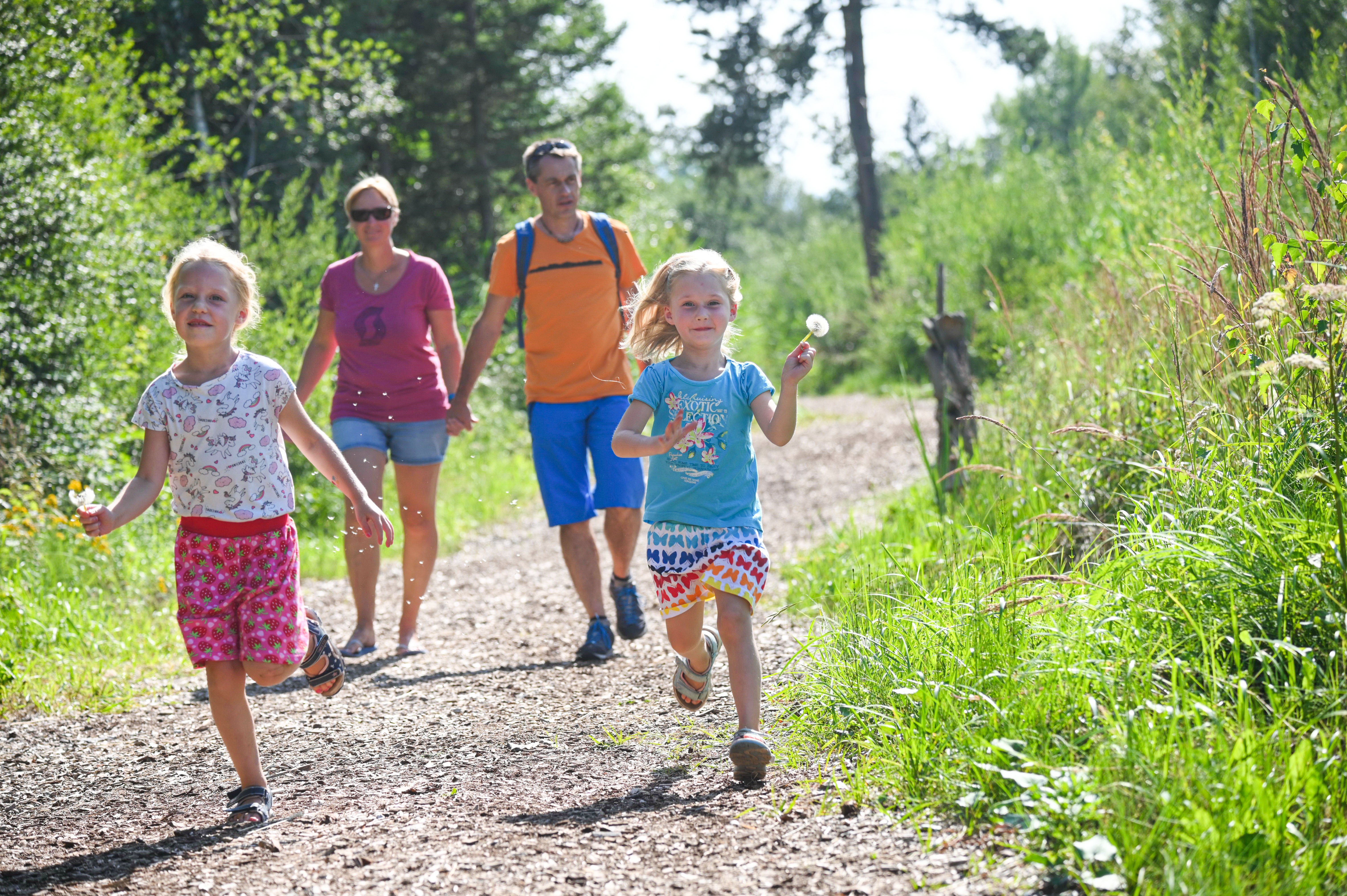 Mit einer Fläche von ca. 85ha zählt das Werdensteiner Moos zu den größten Hochmooren im Landkreis Oberallgäu und bietet Lebensraum für viele Tier- und Pflanzenarten. Ein Lehrpfad führt entlang des Schutzgebiets. Mit einer Länge von 3,5 km ist die leichte Wanderung besonders gut für Familien mit Kindern geeignet.