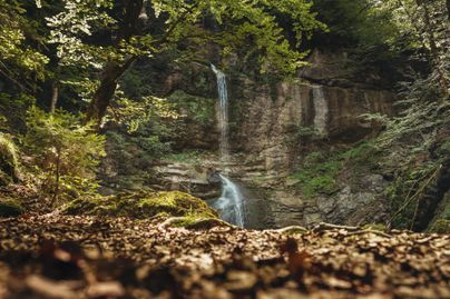 Ein malerischer Wasserfall fließt sanft über eine Felswand. Umgeben von grünen Bäumen und buntem Laub wirkt die Szenerie friedlich und einladend.