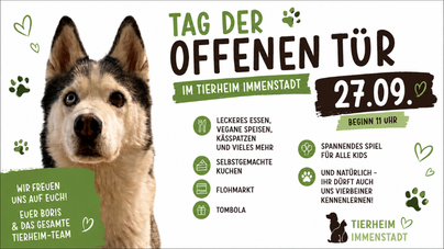 Ein Hund steht im Vordergrund und schaut freundlich in die Kamera. Im Hintergrund sind Informationen zu einem Tag der offenen Tür im Tierheim Immenstadt zu sehen.