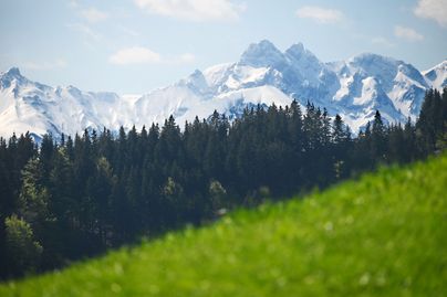 Panoramablick auf einer Alpweide oberhalb von der Alpe Höllritz in Gunzesried