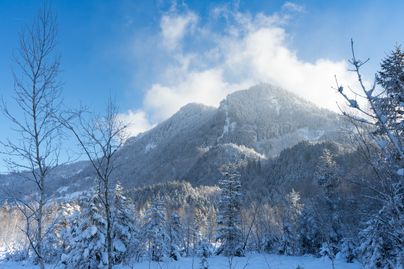 Der schneebedeckte Grünten im Winter. Auf gut präparierten Wegen kommen Winterwanderer und Schneeschuhgeher am Wächter des Allgäus in Burgberg voll auf ihre Kosten.