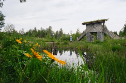 Eine ruhige Landschaft mit einem Teich, umgeben von grünem Gras und gelben Blumen. Im Hintergrund steht eine Holzstruktur unter einem bewölkten Himmel.