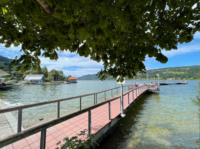 Der Erlebnissteg am Großen Alpsee ist im Sommer ein perfekter Platz zum Baden und Sonnen.