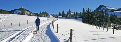 Ein Mann ist mit seinem Rodel auf dem schneebedeckten Winterwanderweg unterwegs zum Sonthofener Hof.
