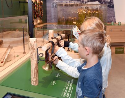 Vier Mädchen stehen an einem Tisch und betrachten eine Ausstellung. Im Hintergrund sind Pflanzen und Informationsmaterialien zu sehen.