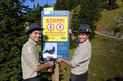 Zwei Ranger im Naturpark Nagelfluhkette beim Aufstellen eines Schildes.