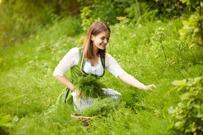 Eine junge Frau in traditioneller Tracht pflückt Kräuter im grünen Gras. Sie lächelt und wirkt entspannt in der Natur.