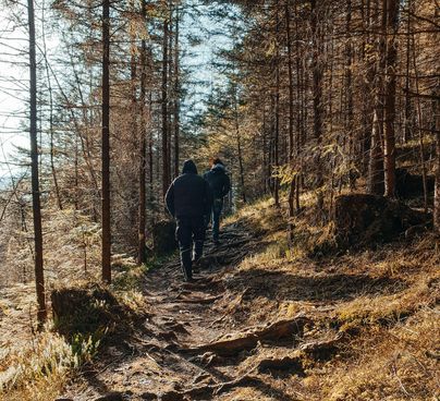 Zwei Personen wandern auf einem schmalen Pfad durch einen Wald. Die Sonne scheint durch die Bäume und beleuchtet den Weg.